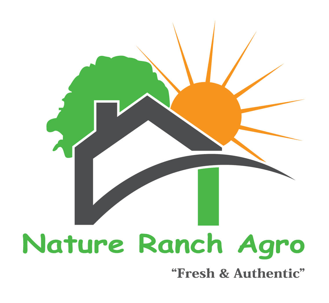 email-us